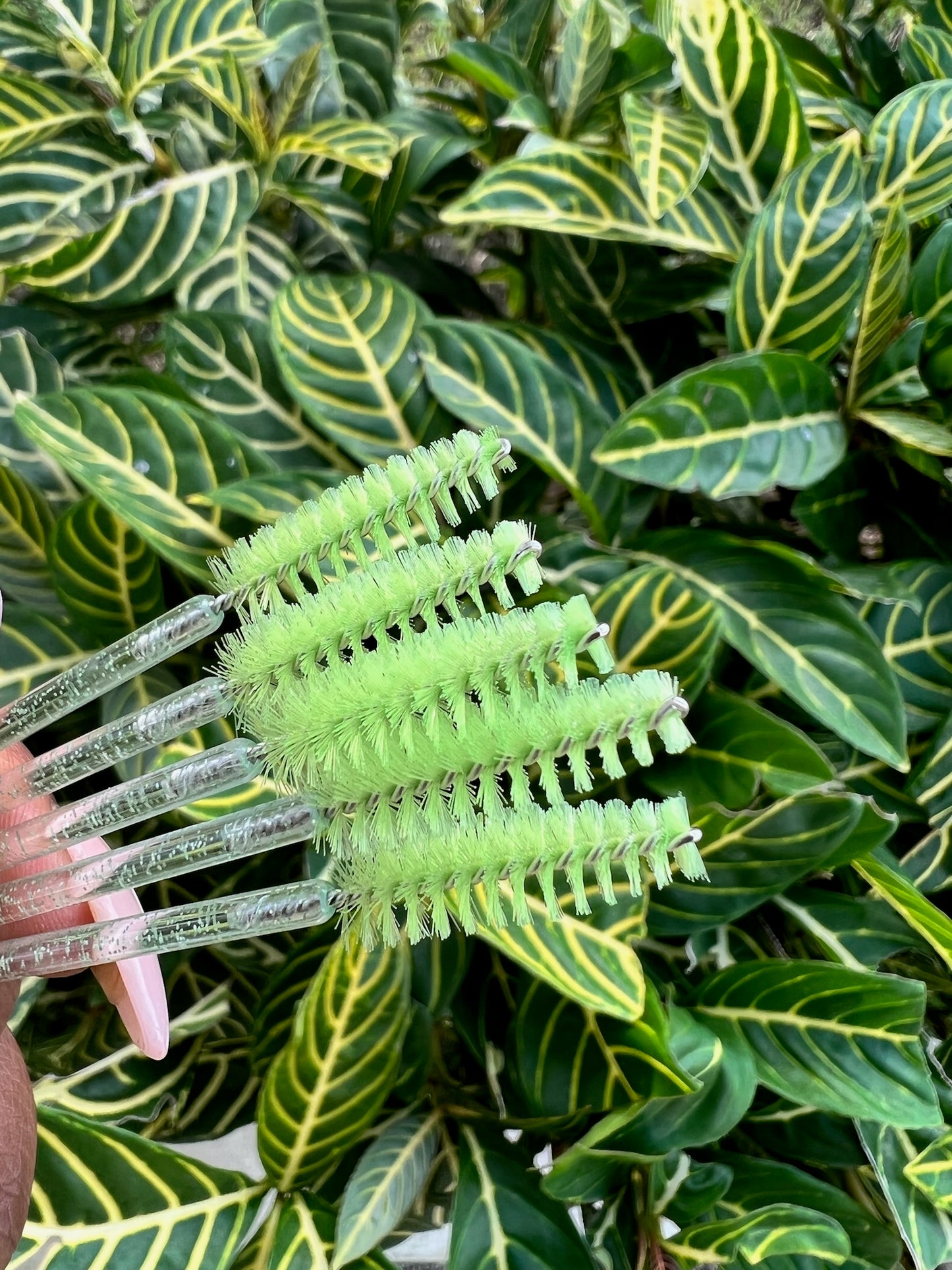 Disposable Mascara Brush 50CT