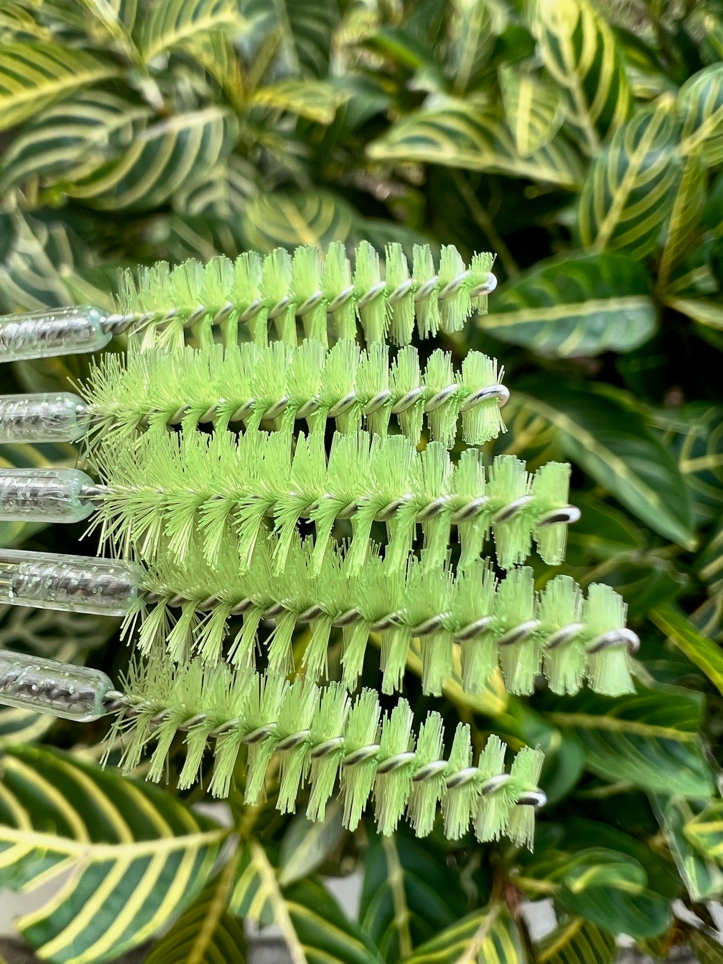 Disposable Mascara Brush 50CT