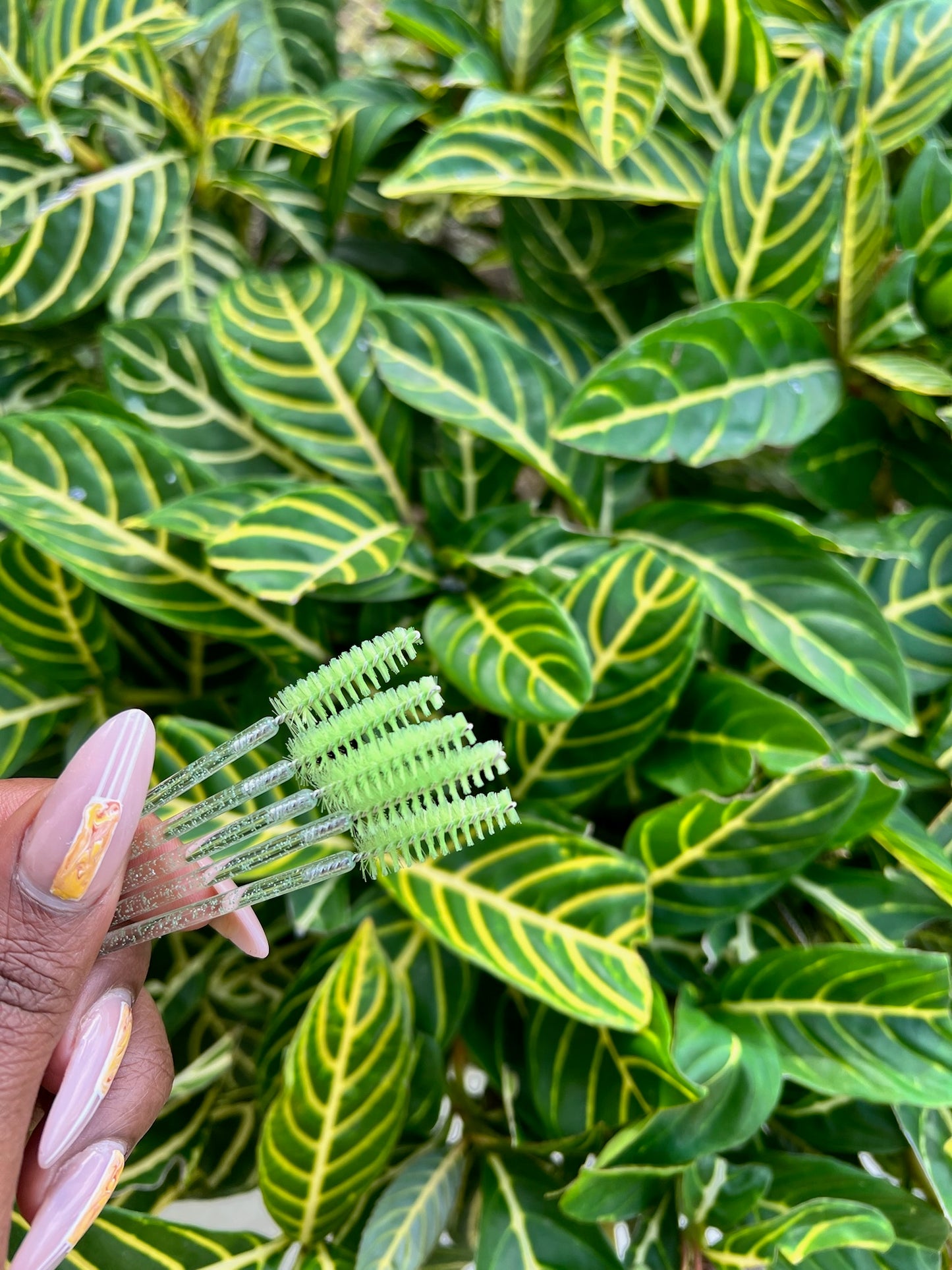 Disposable Mascara Brush 50CT