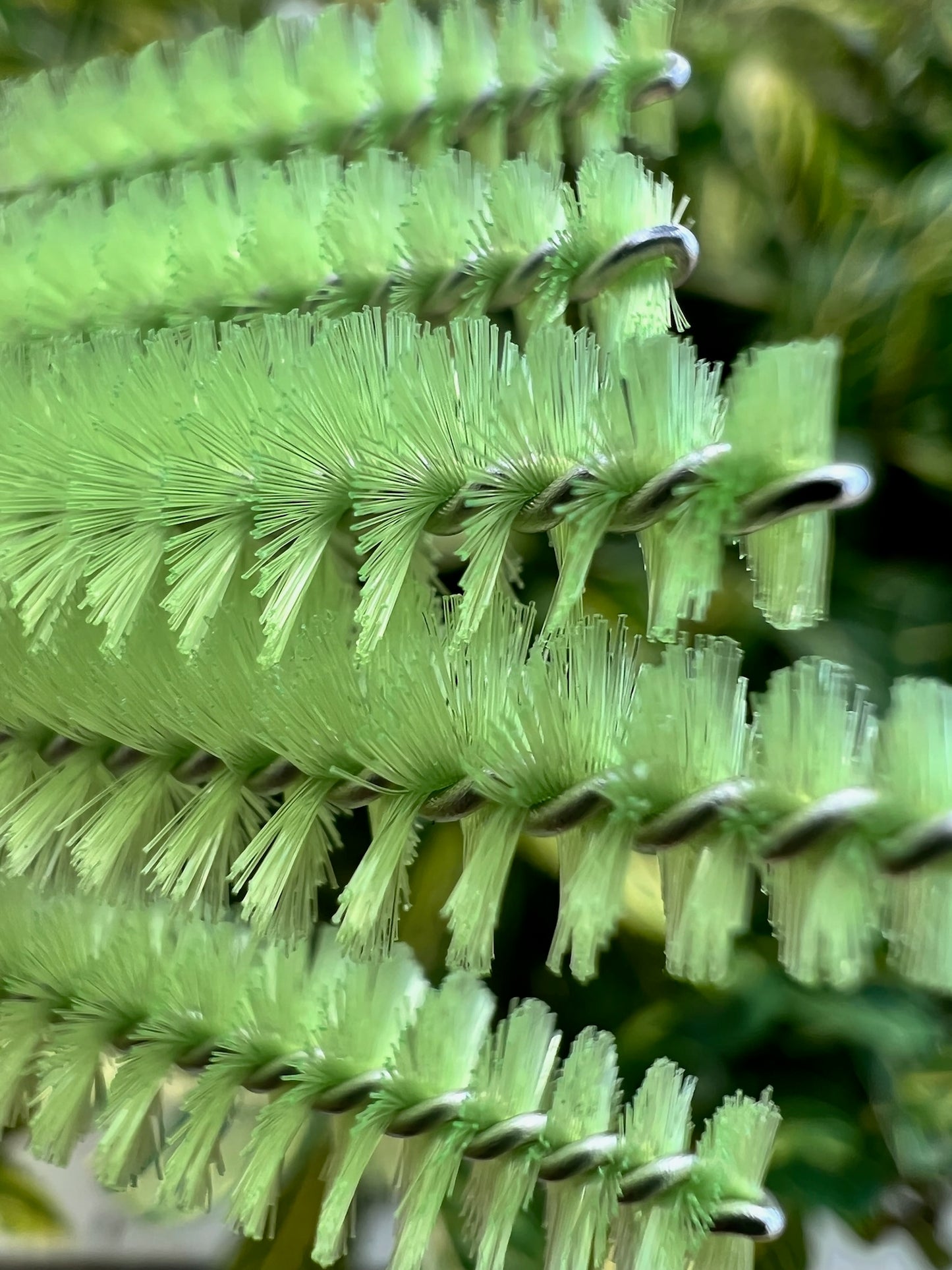 Disposable Mascara Brush 50CT