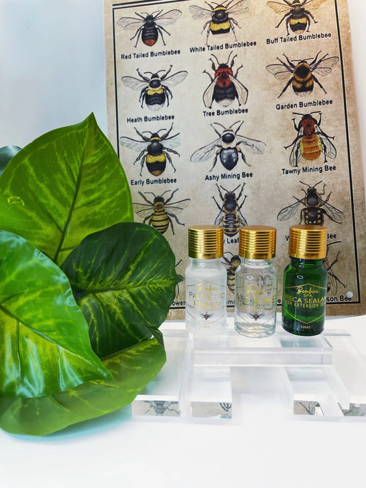 Palmetto Primer