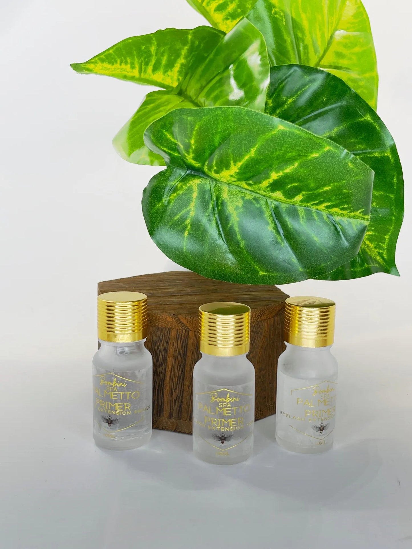 Palmetto Primer